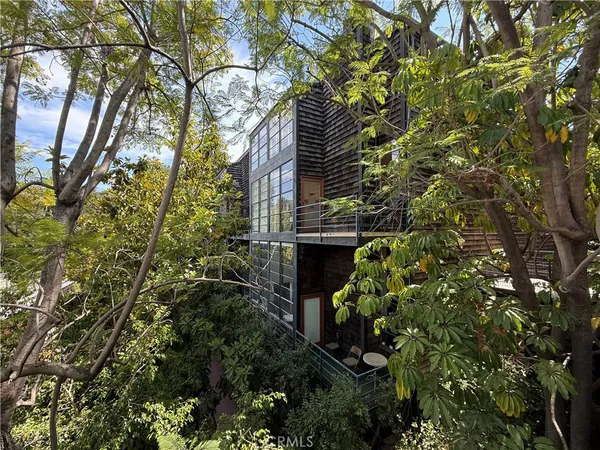 a close up of a plant in a garden