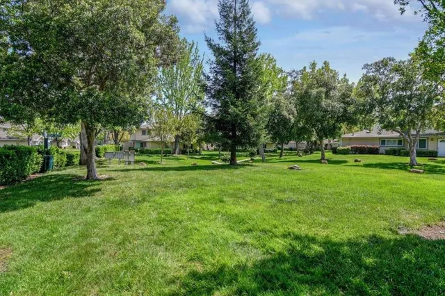 a view of a park with trees and grass