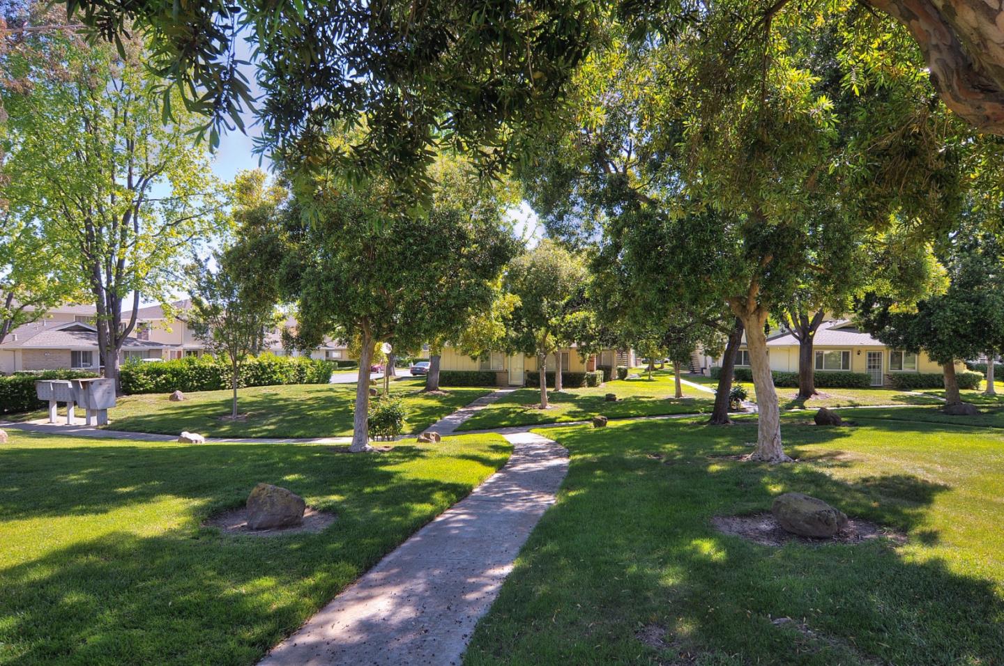 2323 Saidel Drive, Unit 4 San Jose, CA 95124 - Photo 6 of 23 a view of a park with large trees