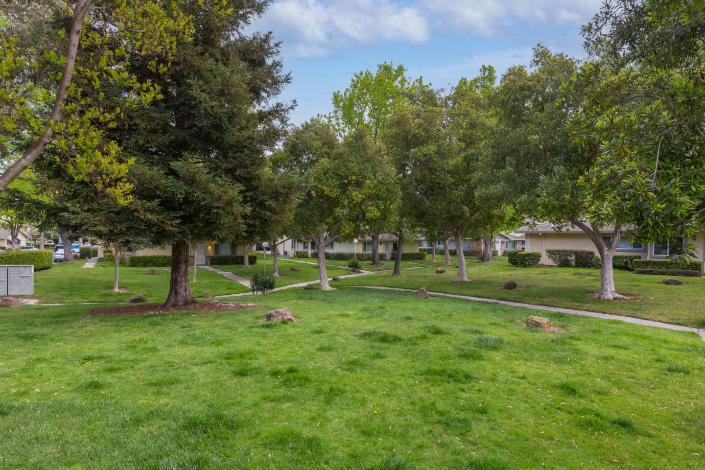 2323 Saidel Drive, Unit 4 San Jose, CA 95124 - Photo 9 of 23 a view of a park with large trees