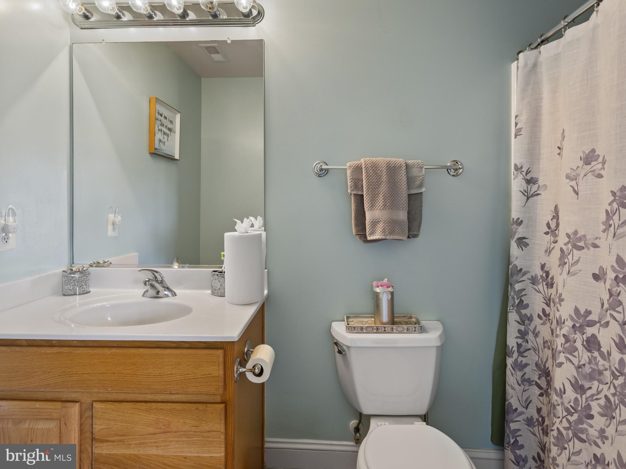 2045 Mount Pleasant Way Prince Frederick, MD 20678 - Photo 22 of 30 a bathroom with a sink toilet and a mirror