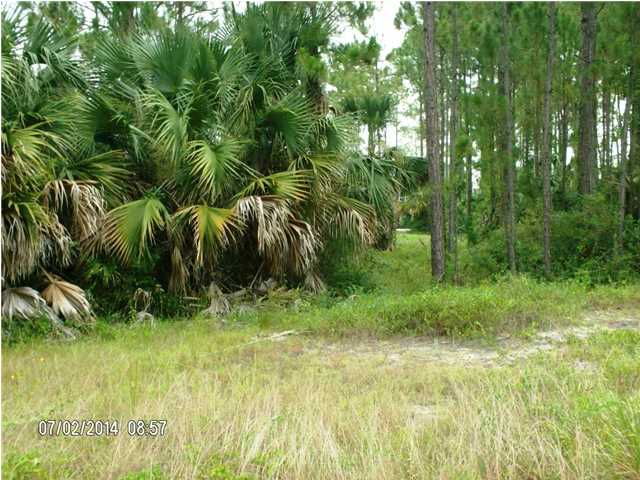 12 Painted Pony Road Port St. Joe, FL 32456 - Photo 1 of 1