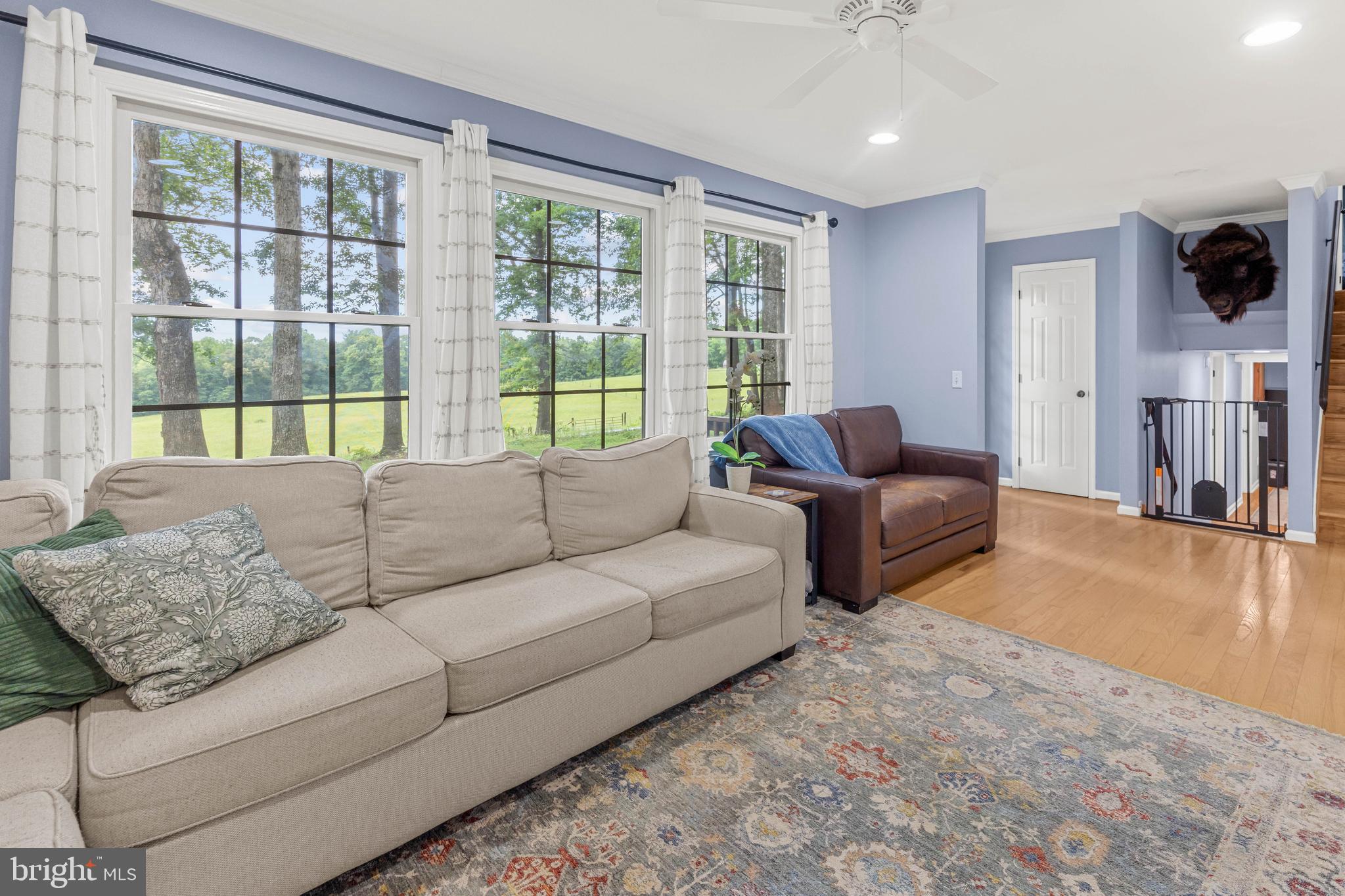1425 Jacks Shop Road Rochelle, VA 22738 - Photo 10 of 56 a living room with furniture and a flat screen tv