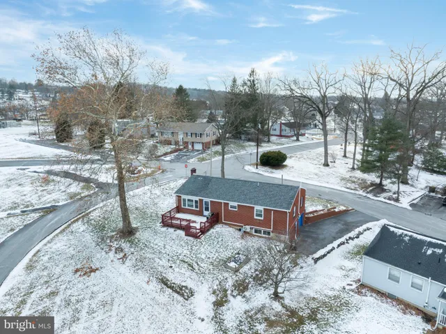 a view of a city with tall trees