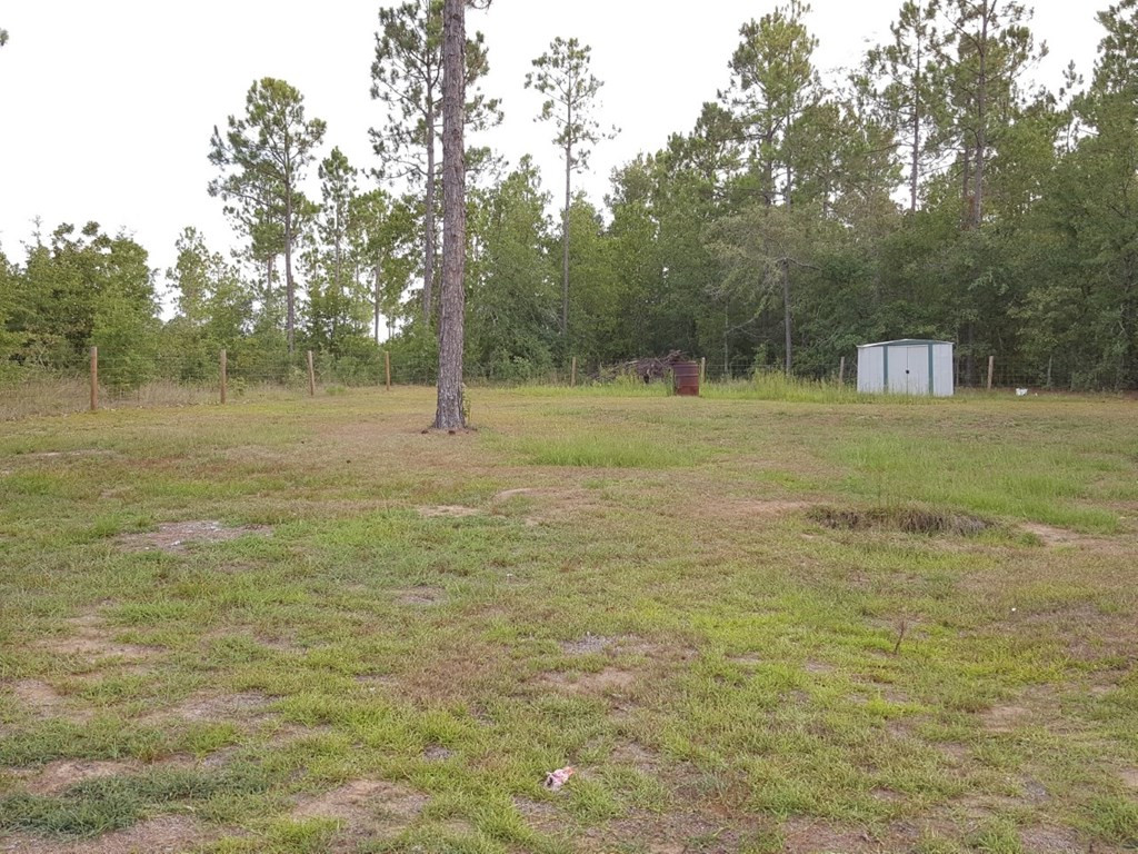 212 Pearl Bonnett Road Windsor, SC 29856 - Photo 13 of 13