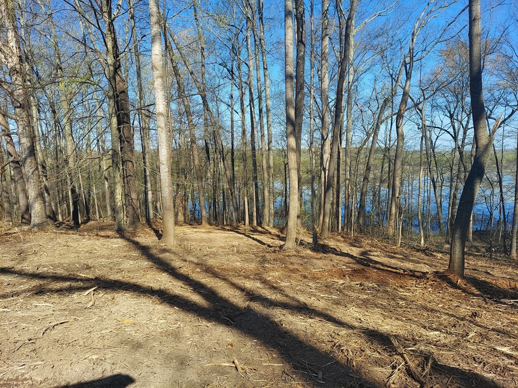 0 Elkhorn Road Springville, TN 38256 - Photo 2 of 13 a view of a backyard of the house