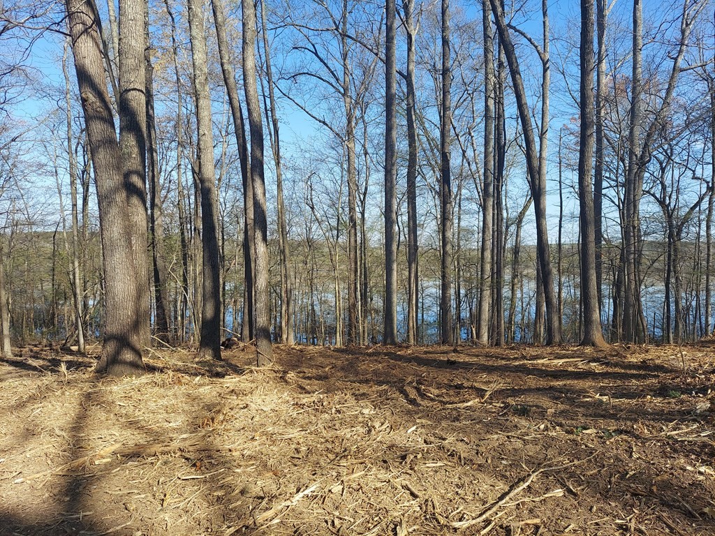 0 Elkhorn Road Springville, TN 38256 - Photo 3 of 13 a view of park with large trees