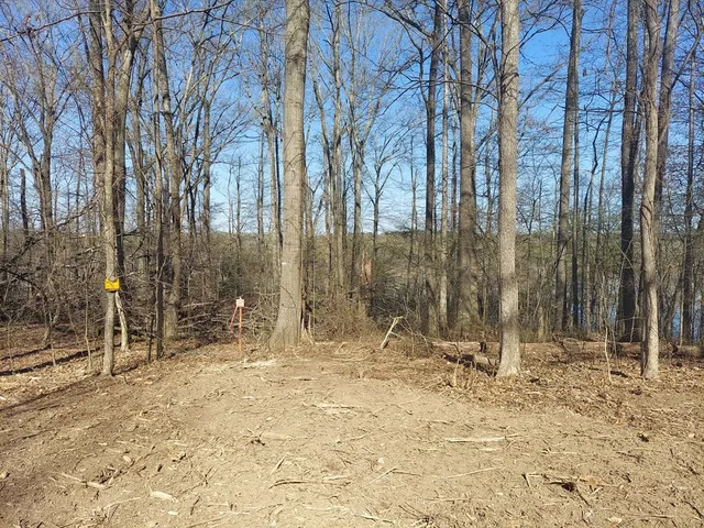 a view of outdoor space with trees