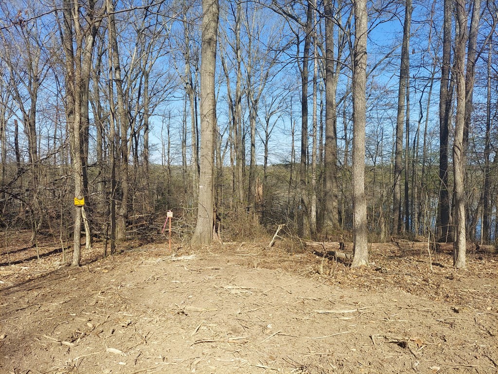 0 Elkhorn Road Springville, TN 38256 - Photo 4 of 13 a view of outdoor space with trees