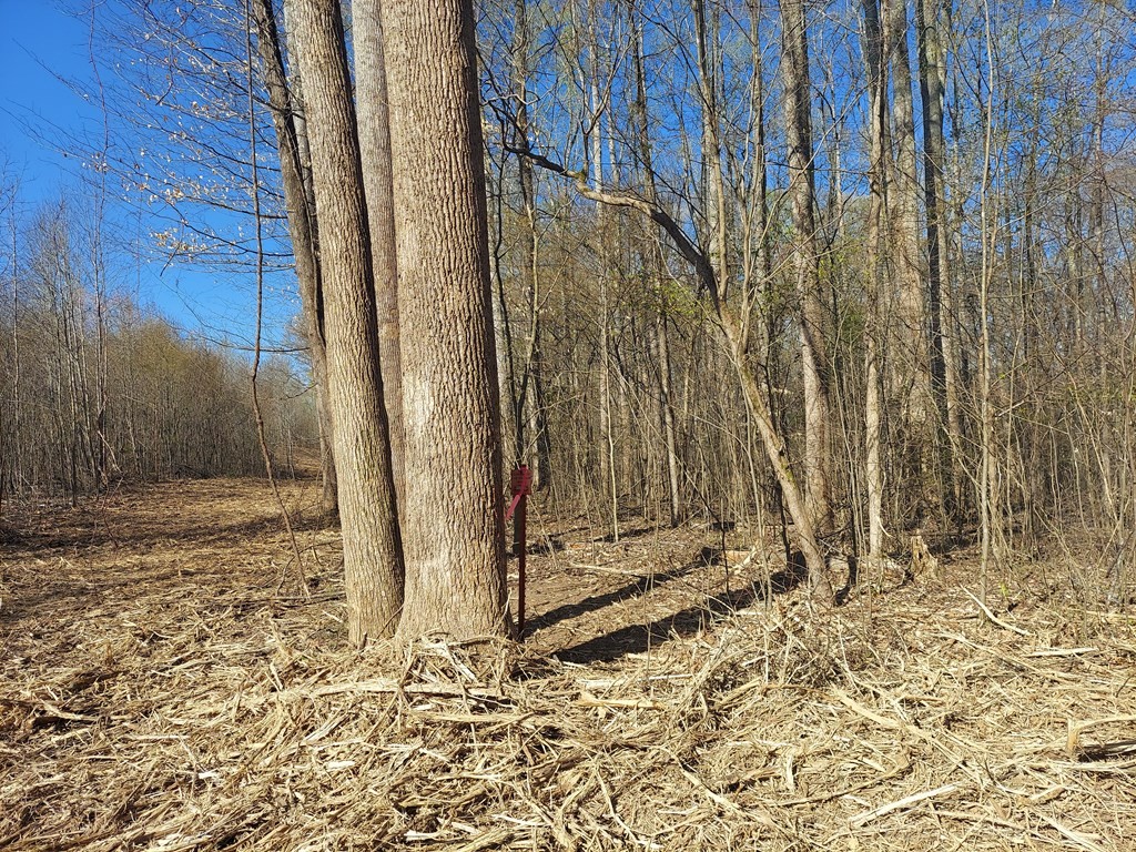 0 Elkhorn Road Springville, TN 38256 - Photo 7 of 13 a view of a entrance