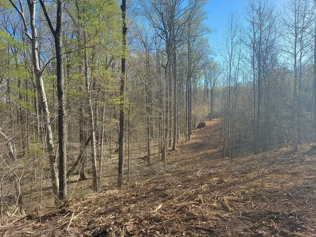 a view of a shower and a sink
