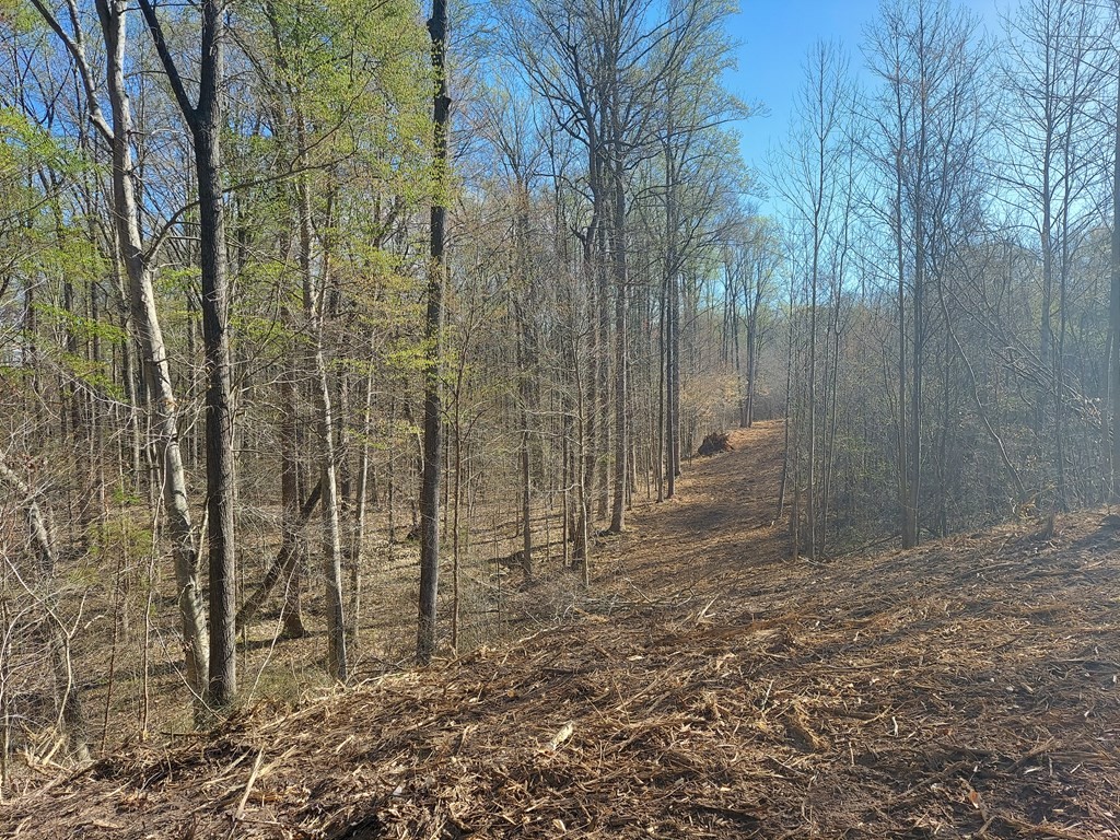 0 Elkhorn Road Springville, TN 38256 - Photo 8 of 13 a view of a shower and a sink