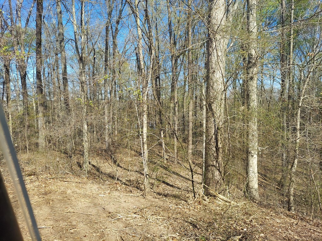 0 Elkhorn Road Springville, TN 38256 - Photo 10 of 13 a bathroom with a shower