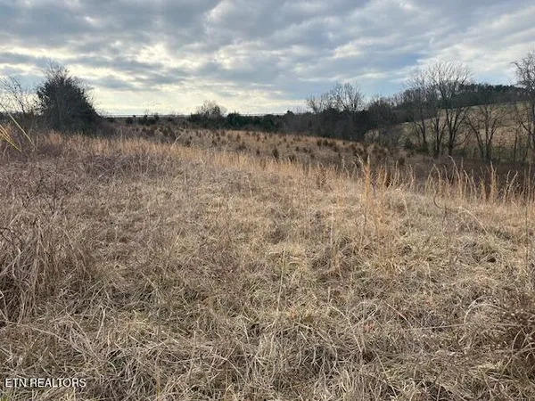 $96,000 | 0 Old Parrottsville Highway, Parrottsville, TN 37843