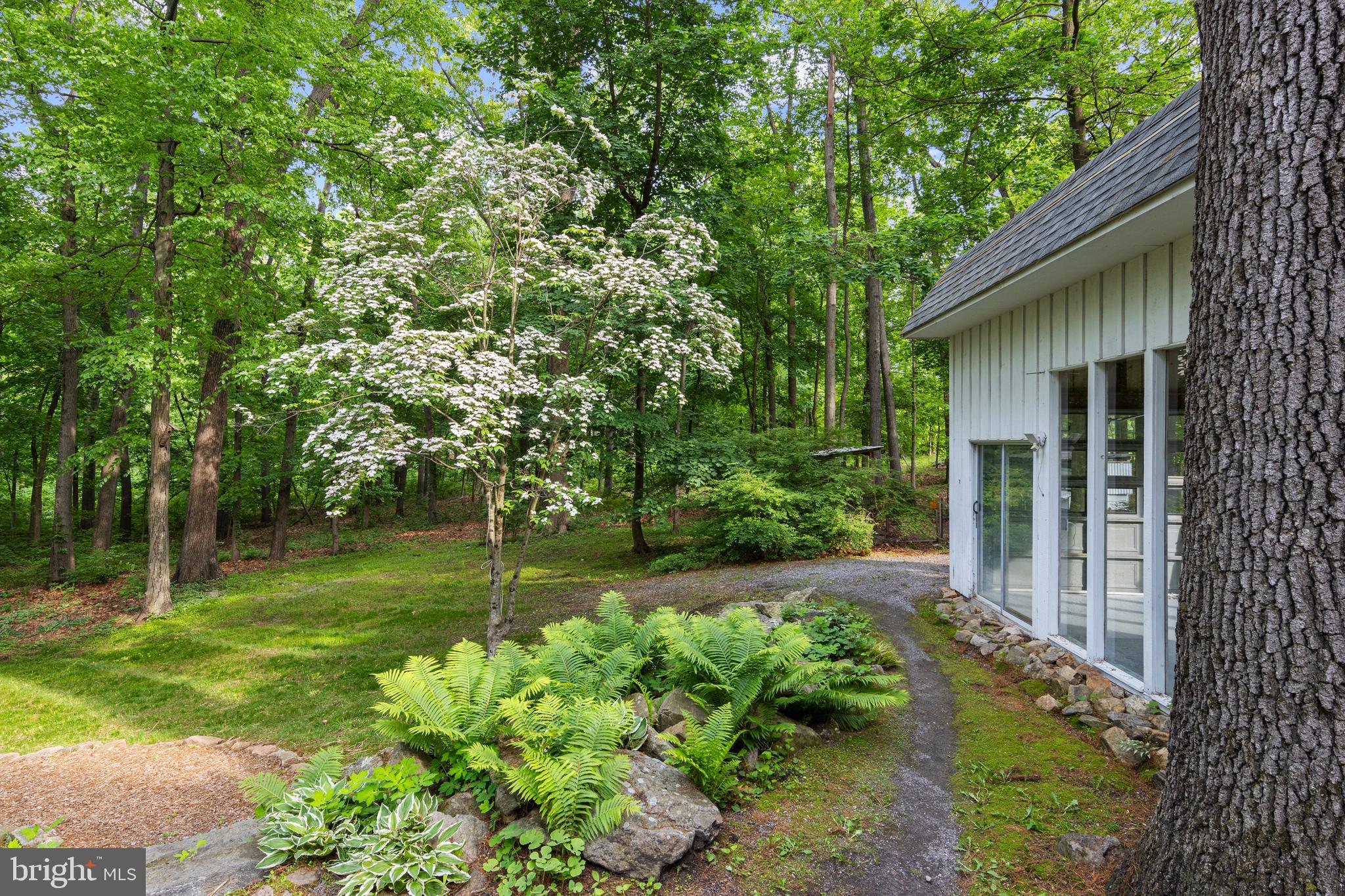 1420 Little Conestoga Road Glenmoore, PA 19343 - Photo 42 of 51 a view of a backyard with large trees and plants