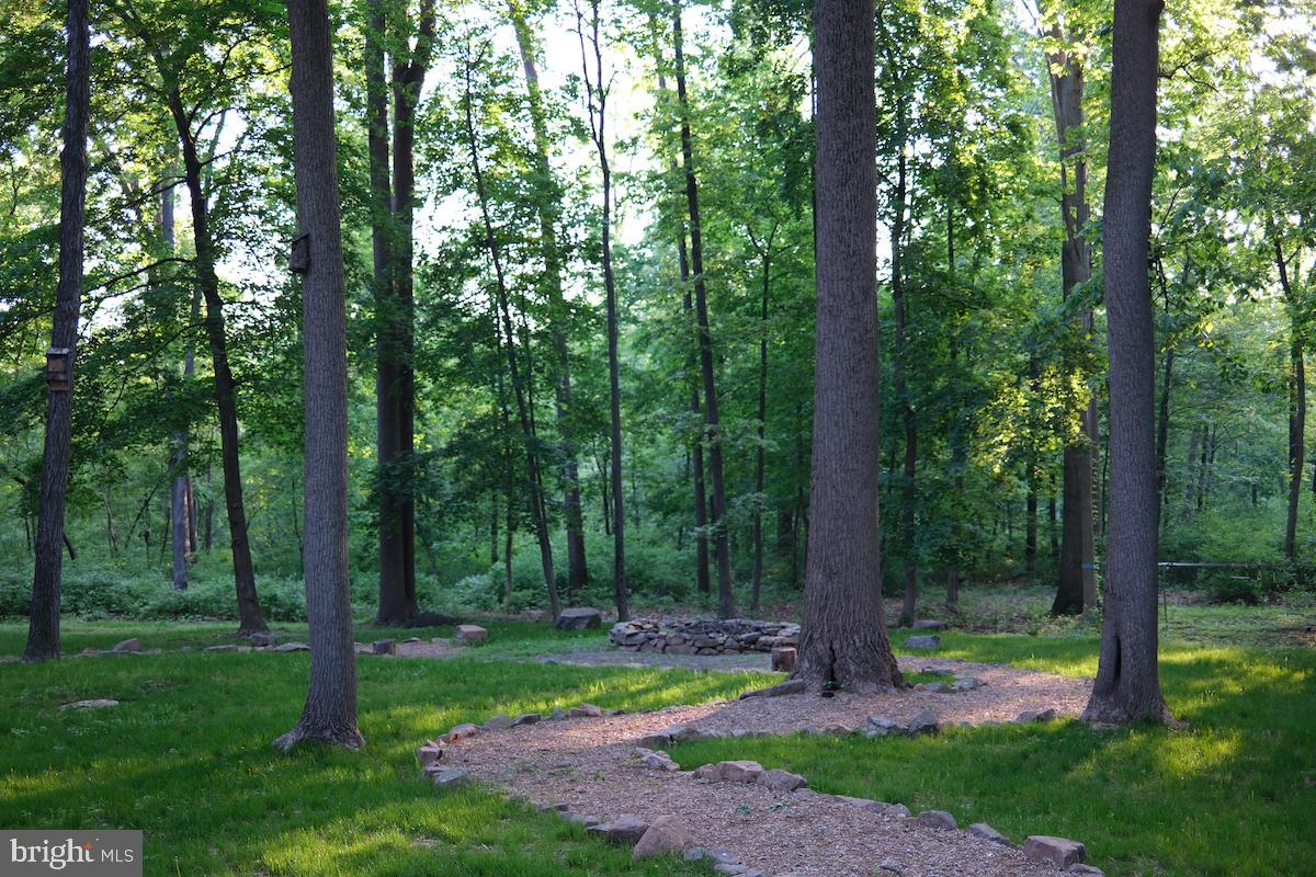 1420 Little Conestoga Road Glenmoore, PA 19343 - Photo 44 of 51 a view of a park