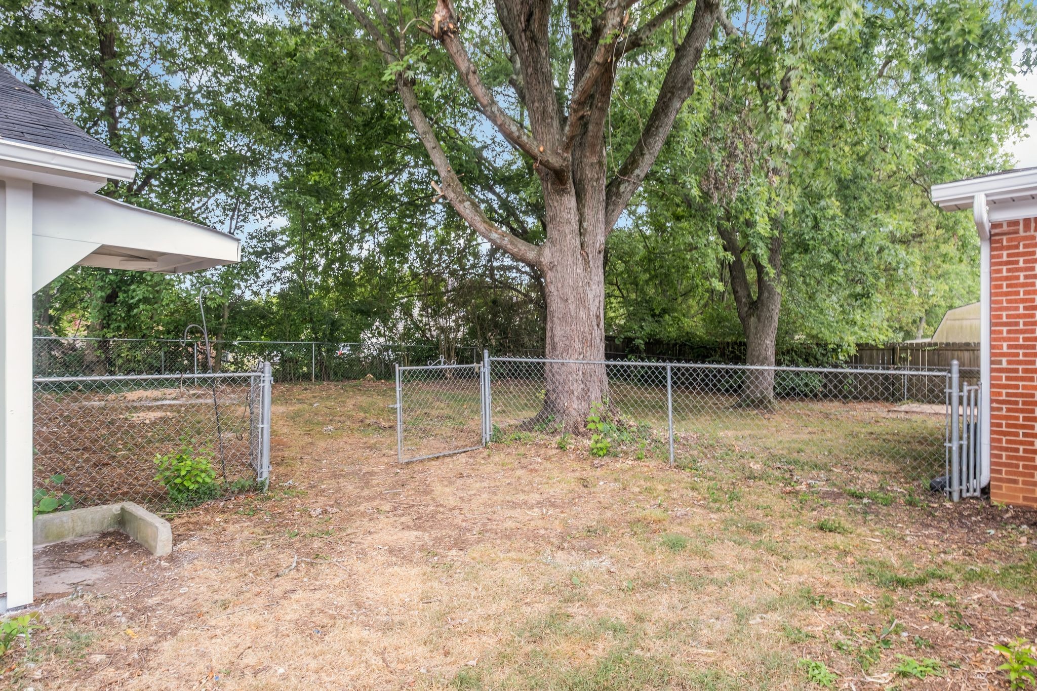 217 Stonewall Road Columbia, TN 38401 - Photo 33 of 33 Backyard is fenced