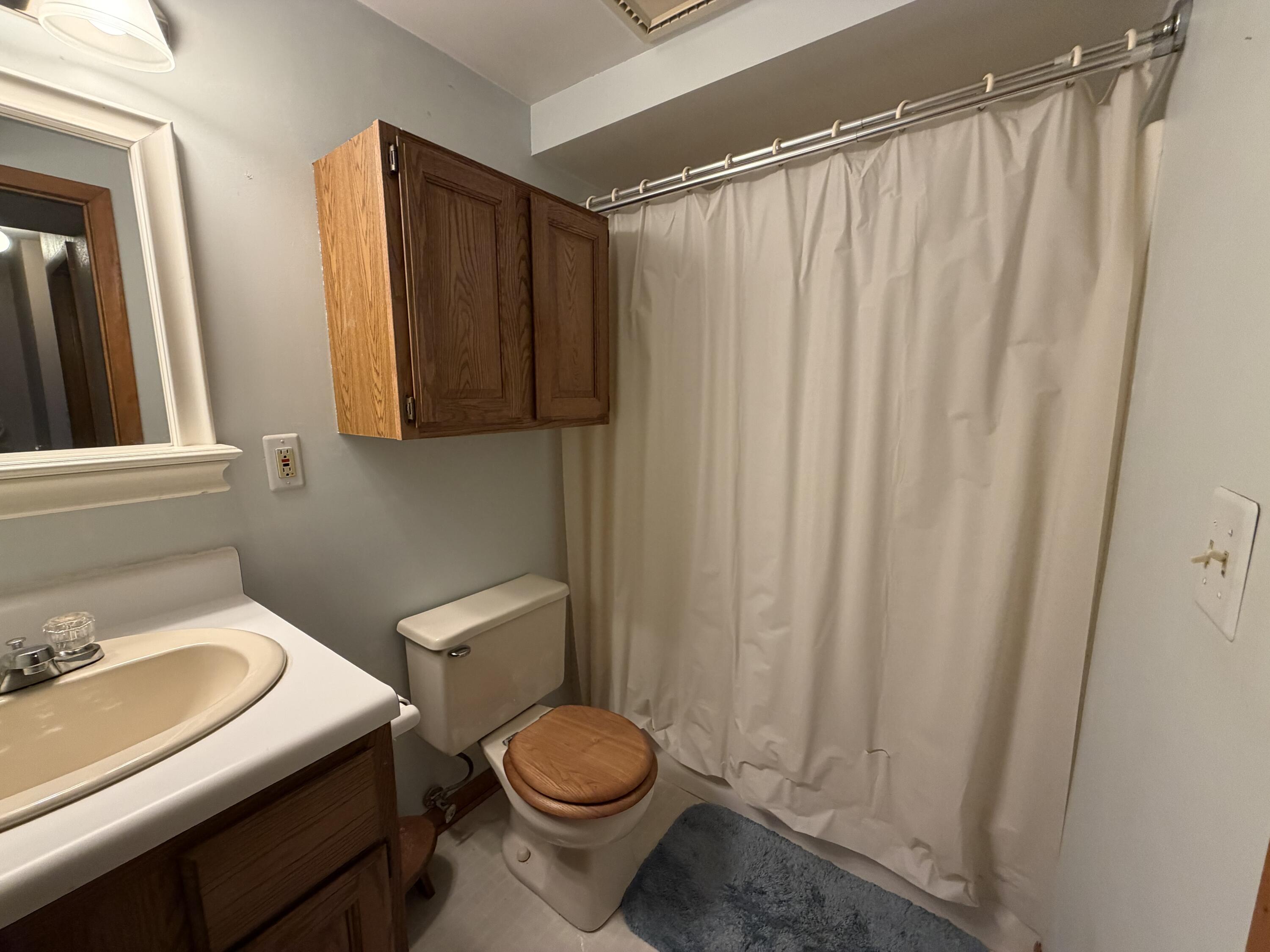 1055 Miller Road Plainwell, MI 49080 - Photo 22 of 31 Lower Bath
