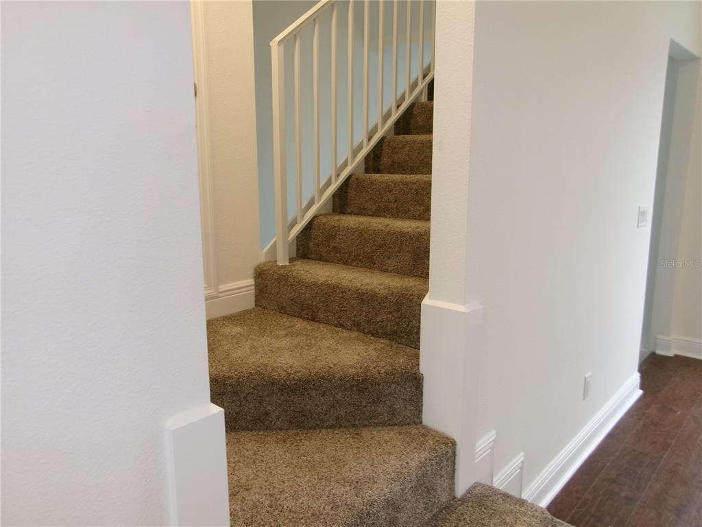 5730 Biscayne Court New Port Richey, FL 34652 - Photo 19 of 35