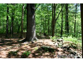 610 Purple Finch Road Brevard, NC 28712 - Photo 15 of 21 Gallery Image 15