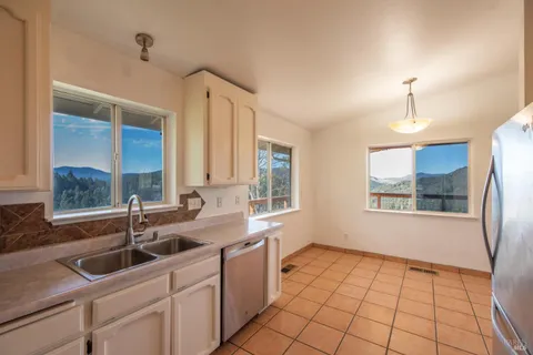 a kitchen with sink a window and stainless steel appliances