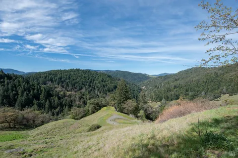 a view of a big yard with a large tree