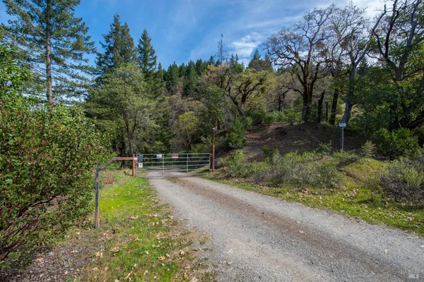 a view of backyard with green space