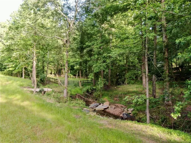 a view of backyard with green space