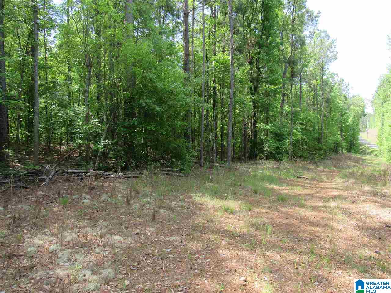 0 County Road 895, Unit 17 ACRES Lineville, AL 36266 - Photo 8 of 30