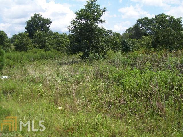 0 Isabelle's Way, Unit 3 Colbert, GA 30628 - Photo 1 of 1