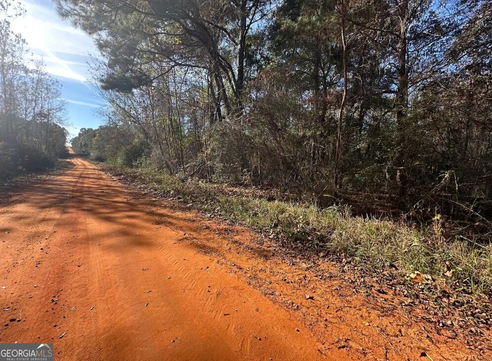 0 Bull Branch Road Coffee Springs, AL 36318 - Photo 11 of 14