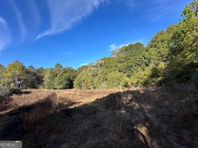 $289,000 | 0 Bull Branch Road, Coffee Springs, AL 36318