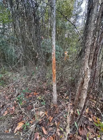 $289,000 | 0 Bull Branch Road, Coffee Springs, AL 36318