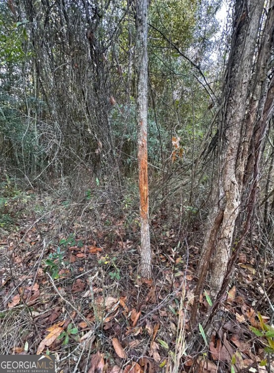 0 Bull Branch Road Coffee Springs, AL 36318 - Photo 6 of 14