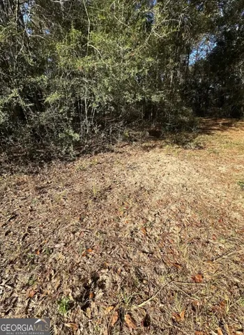 $289,000 | 0 Bull Branch Road, Coffee Springs, AL 36318