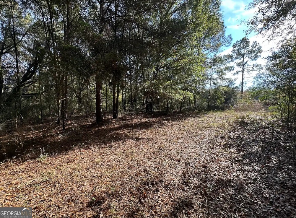 0 Bull Branch Road Coffee Springs, AL 36318 - Photo 8 of 14