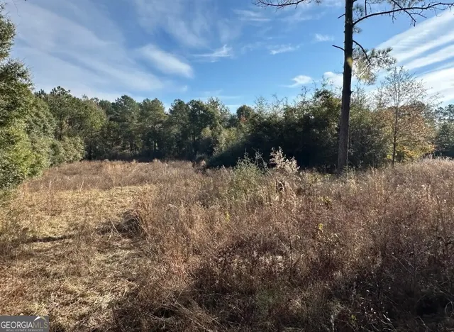 $289,000 | 0 Bull Branch Road, Coffee Springs, AL 36318