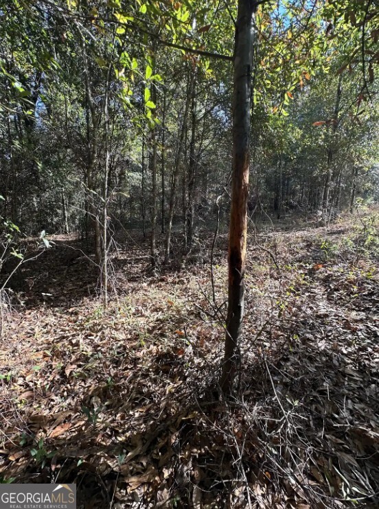 0 Bull Branch Road Coffee Springs, AL 36318 - Photo 10 of 14