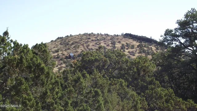 a view of a mountain range with trees in the background
