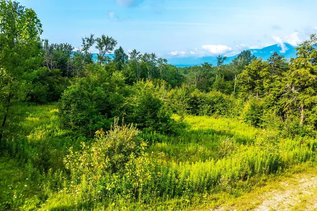 $115,000 | Lot 3 Route 11/30 Winhall Vt 05340, Unit 3, Manchester Center, VT 05255