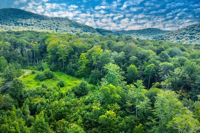 $115,000 | Lot 3 Route 11/30 Winhall Vt 05340, Unit 3, Manchester Center, VT 05255