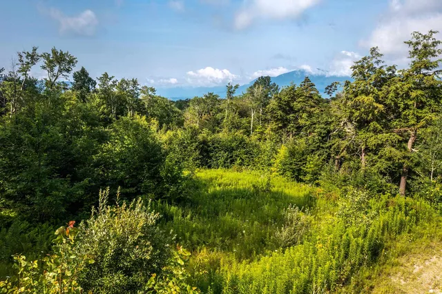 $115,000 | Lot 3 Route 11/30 Winhall Vt 05340, Unit 3, Manchester Center, VT 05255