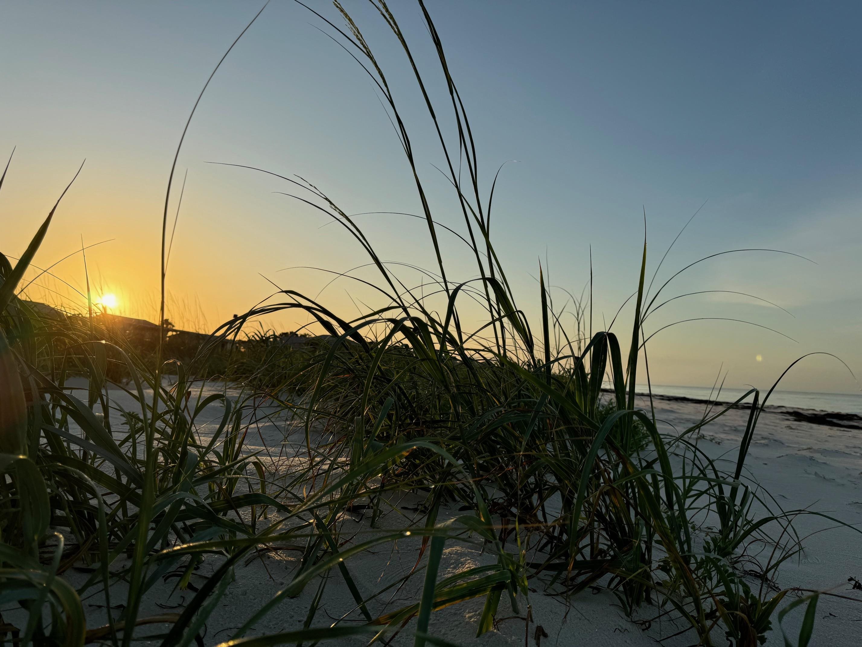 26 Lake View Drive Alligator Point, FL 32346 - Photo 3 of 38