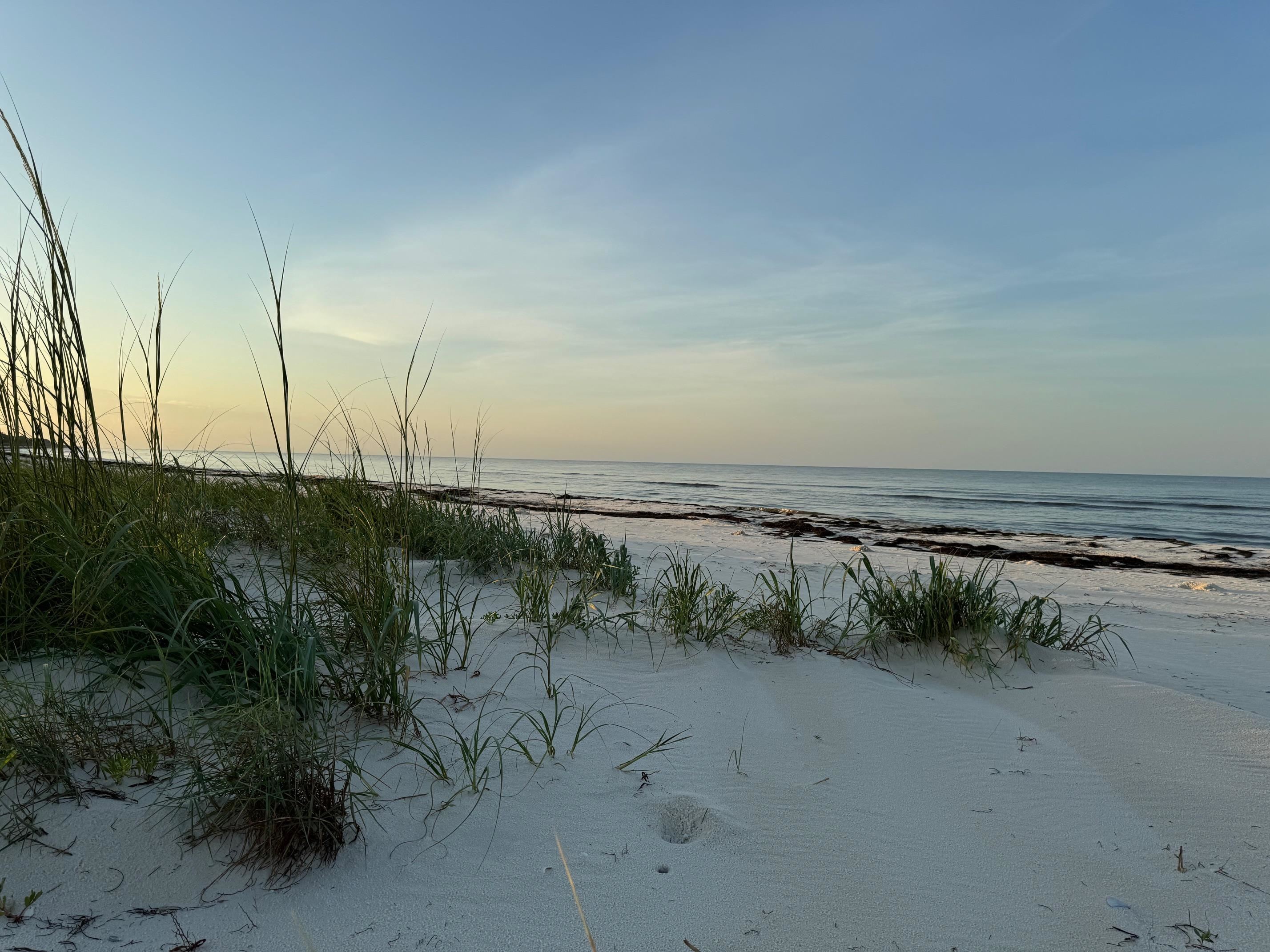 26 Lake View Drive Alligator Point, FL 32346 - Photo 5 of 38