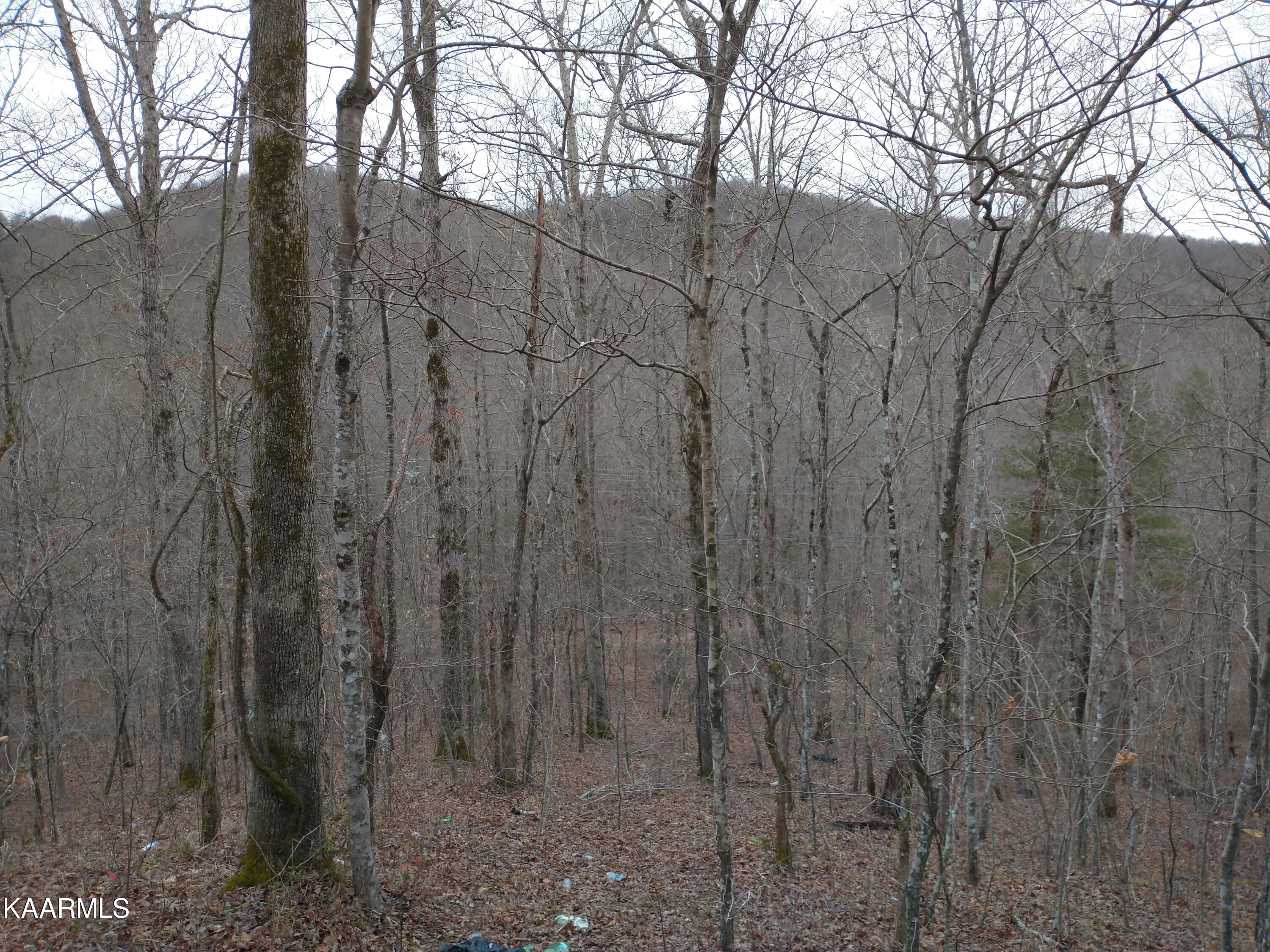 27 New River Robbins, TN 37852 - Photo 2 of 7 IMG_20210103_163345318