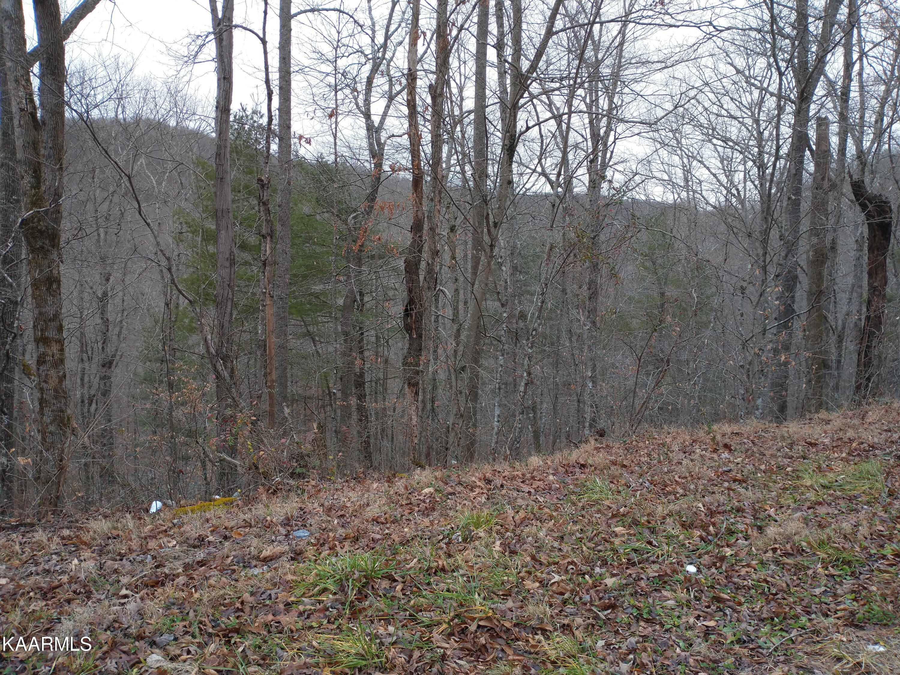 27 New River Robbins, TN 37852 - Photo 3 of 7 IMG_20210103_163412728