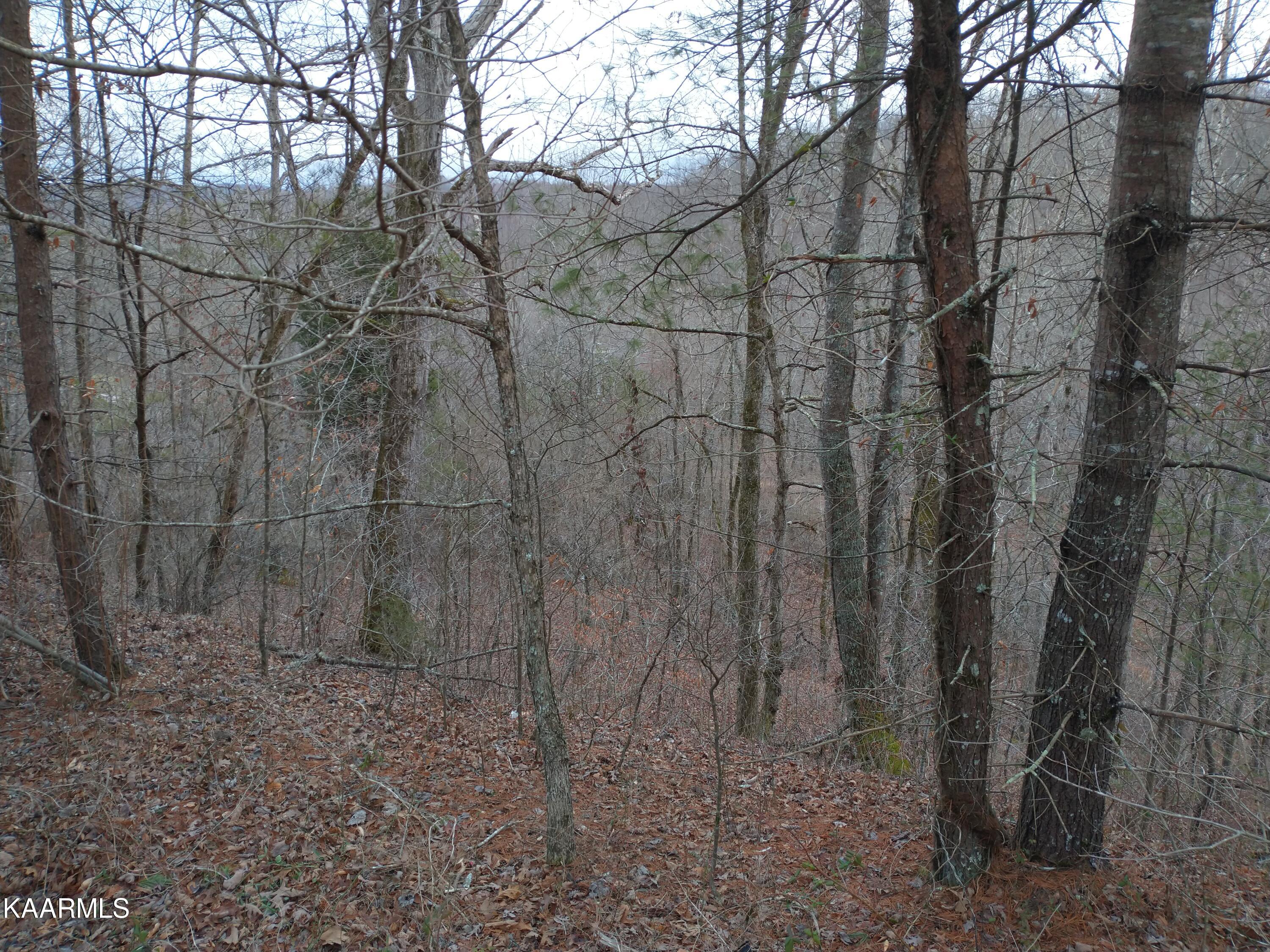 27 New River Robbins, TN 37852 - Photo 4 of 7 IMG_20210103_163513407