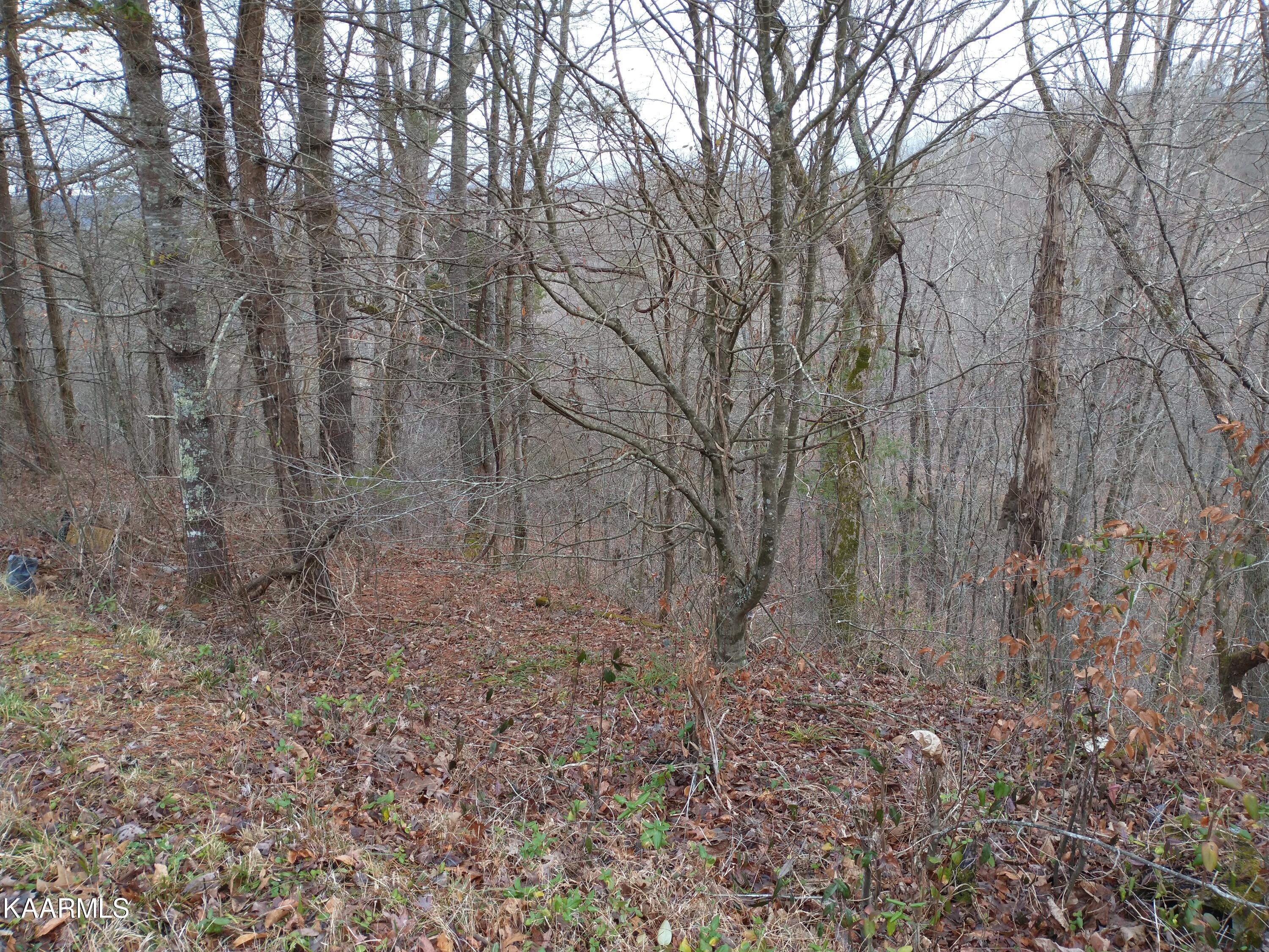 27 New River Robbins, TN 37852 - Photo 5 of 7 IMG_20210103_163500713
