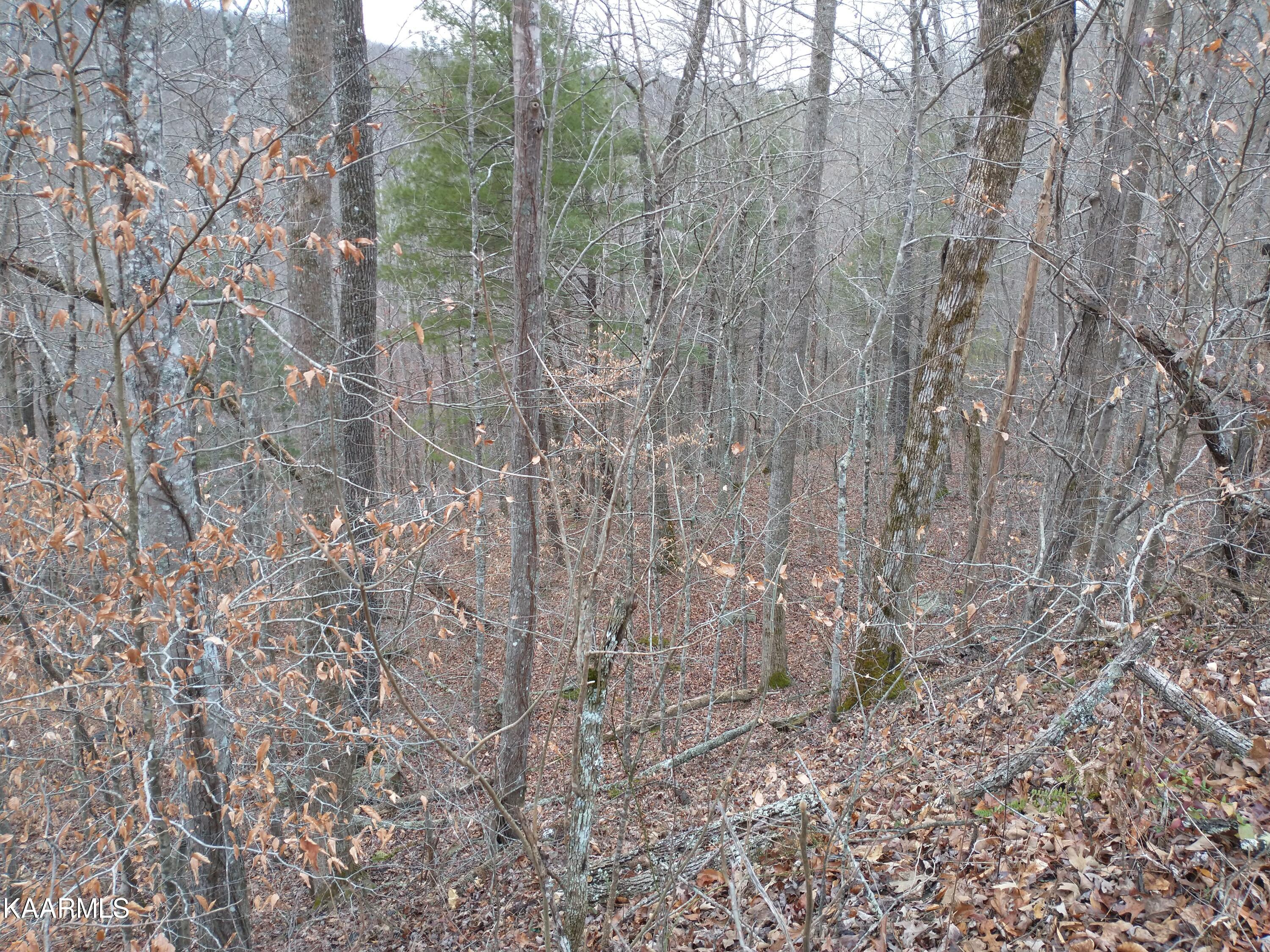 27 New River Robbins, TN 37852 - Photo 7 of 7 IMG_20210103_163431297