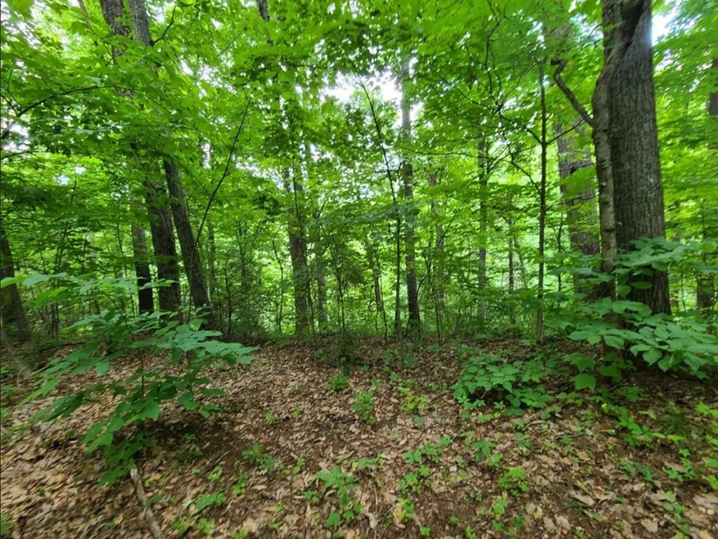 28 Sonshine Ridge Road Cosby, TN 37722 - Photo 7 of 21 Gallery Image 7